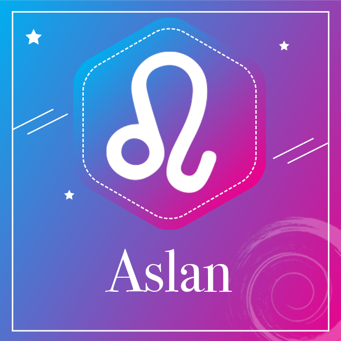 Aslan Burcu